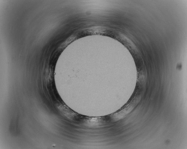 X0000098180382200805221543