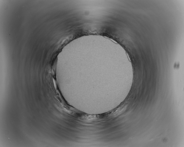 X0000098180384200805221543