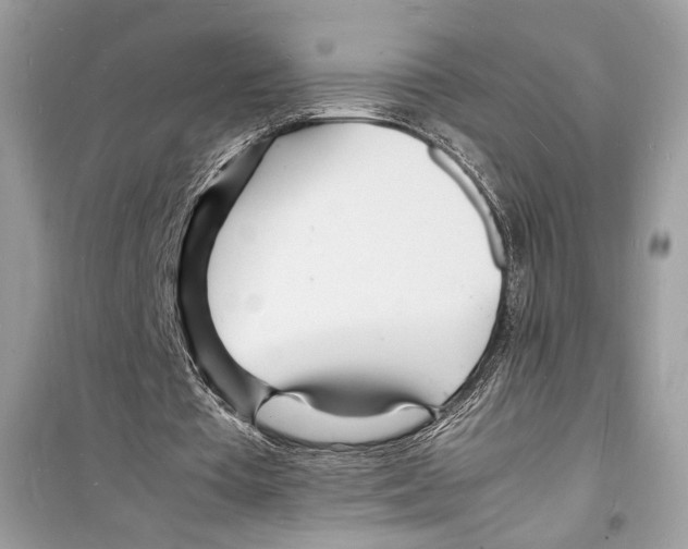 X0000098180385200805221542