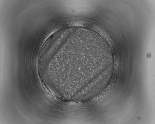 X0000098180386200805221542