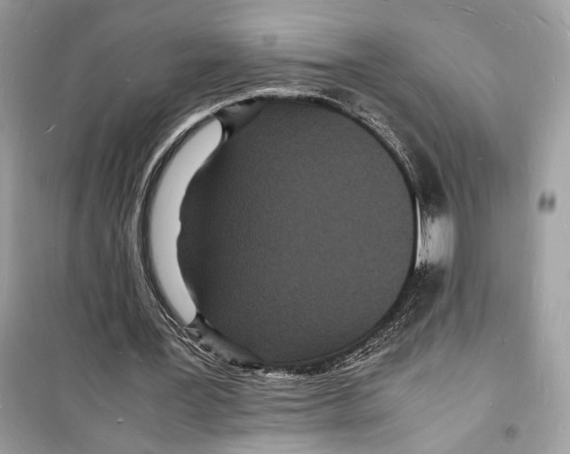 X0000098180387200805221542