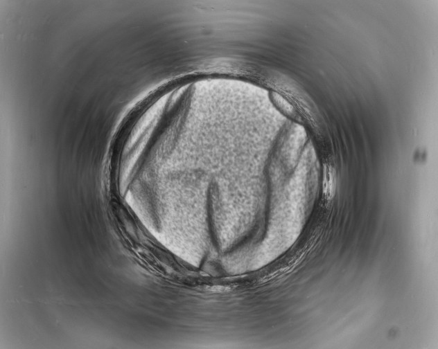 X0000098180388200805221542