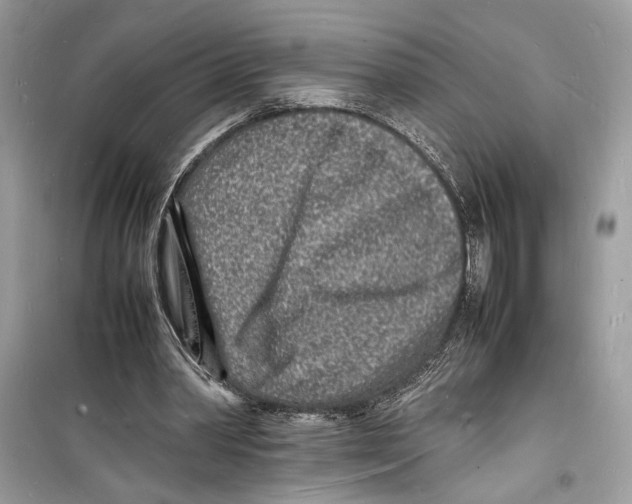 X0000098180390200805221542