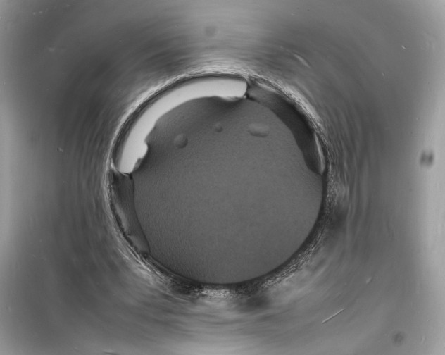 X0000098180391200805221542