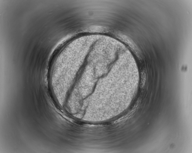 X0000098180392200805221542