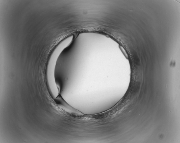 X0000098180393200805221542