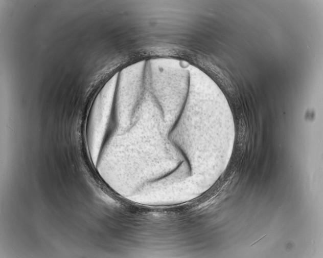 X0000098180394200805221542