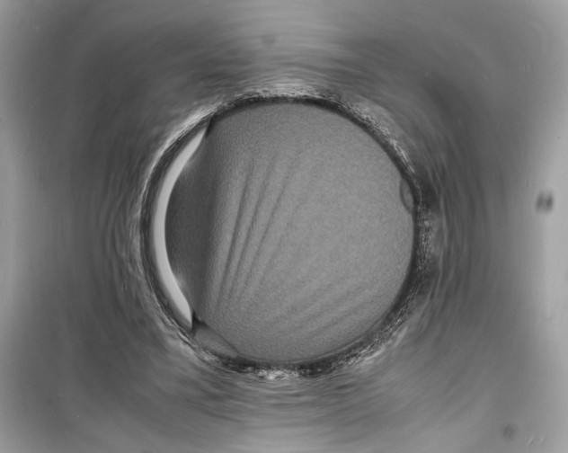 X0000098180395200805221542