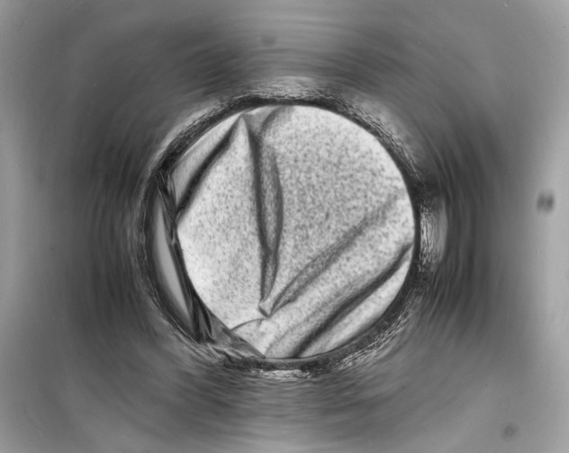 X0000098180396200805221542