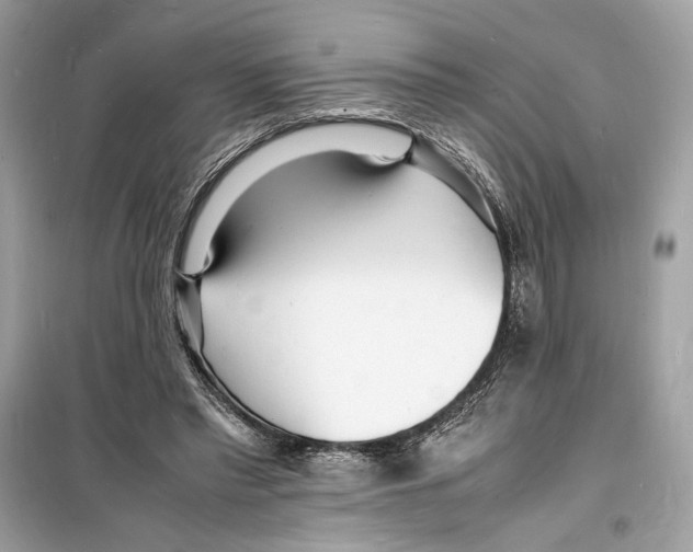 X0000098180397200805221542