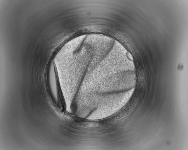 X0000098180398200805221542