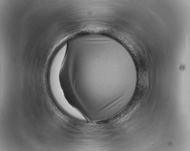 X0000098180399200805221542