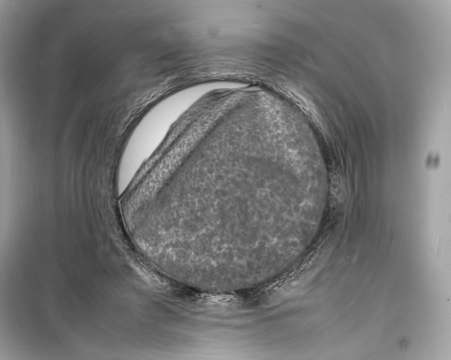 X0000098180401200805221542