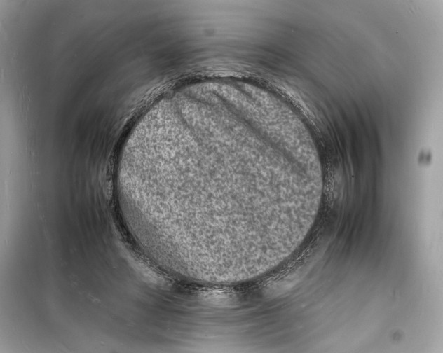 X0000098180402200805221542