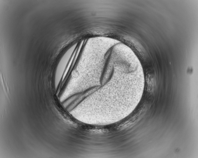 X0000098180404200805221542