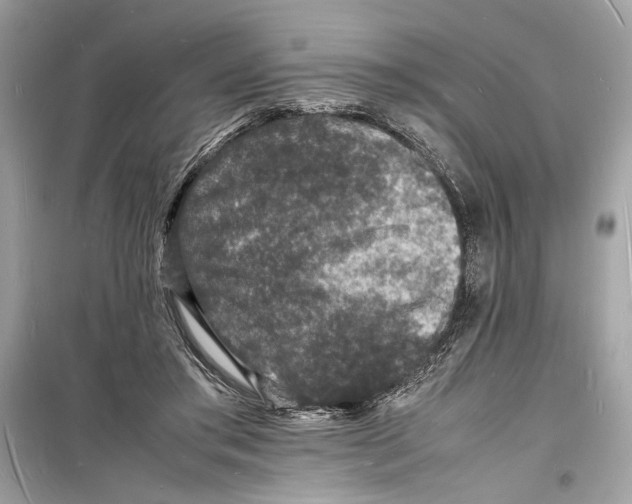 X0000098180405200805221542