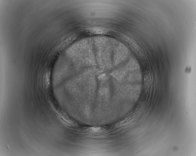 X0000098180406200805221542