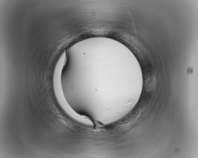 X0000098180407200805221542