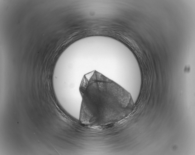 X0000098180409200805221542