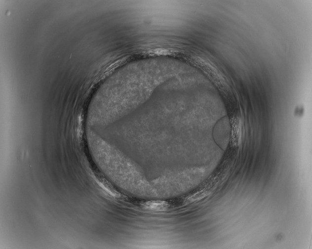 X0000098180410200805221542