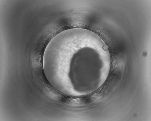 X0000098180411200805221542