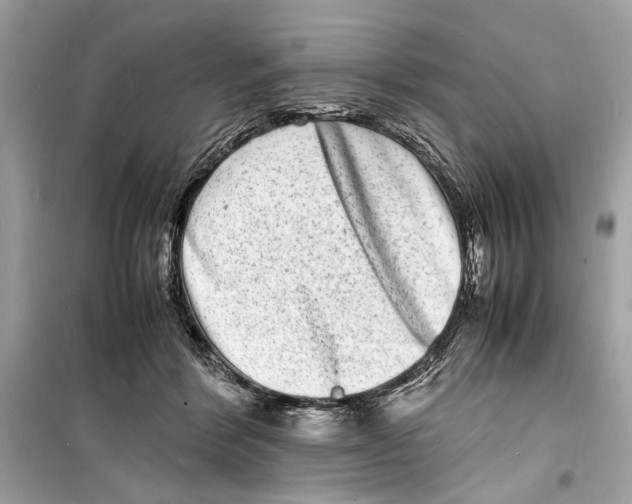 X0000098180412200805221542