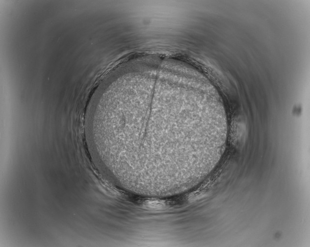 X0000098180413200805221542