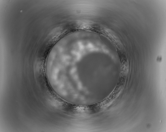 X0000098180415200805221542