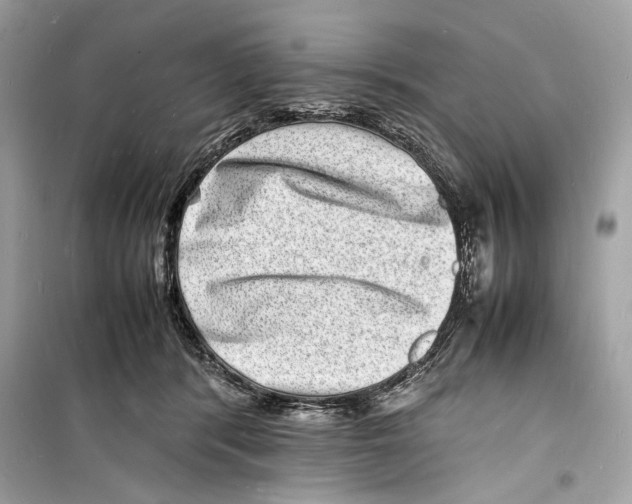 X0000098180416200805221542