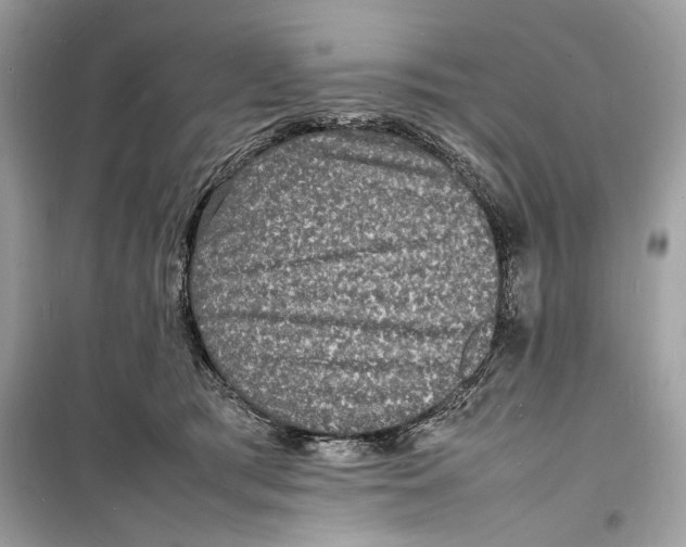 X0000098180417200805221542