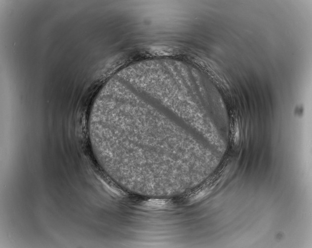 X0000098180418200805221542