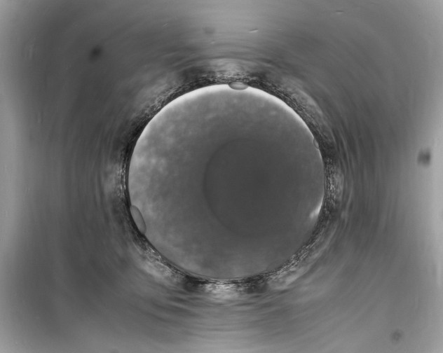 X0000098180419200805221542