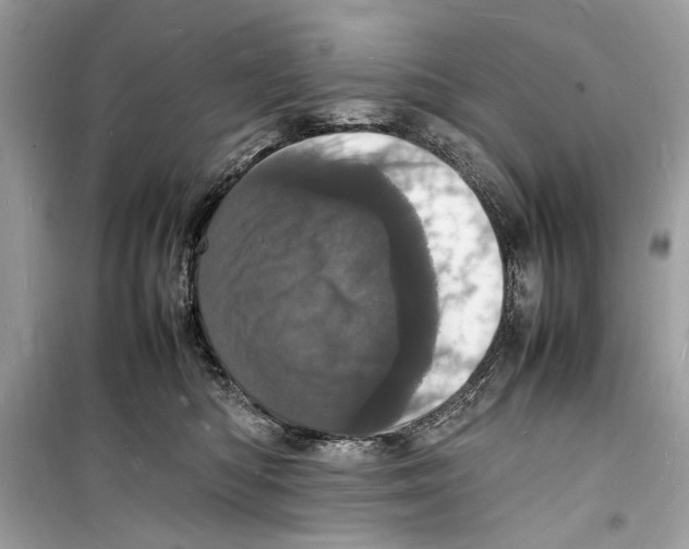 X0000098180422200805221542