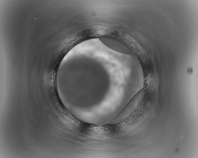 X0000098180423200805221542