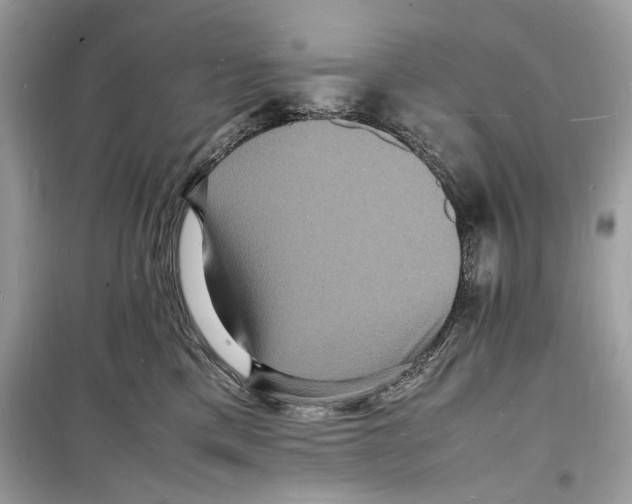 X0000098180425200805221542