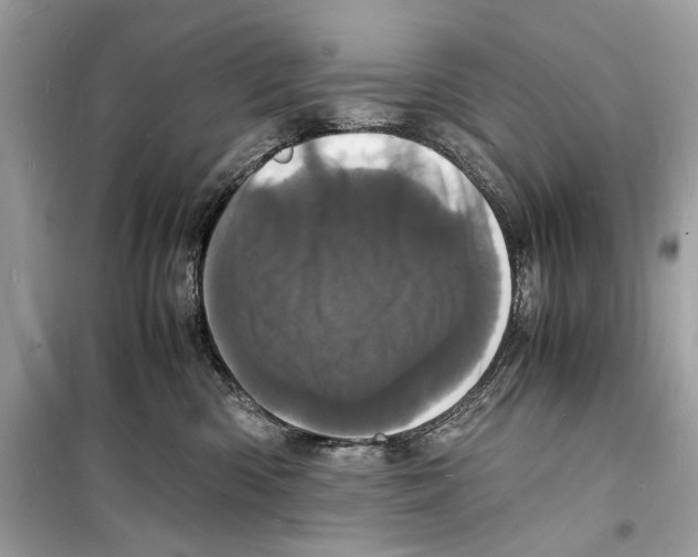 X0000098180426200805221542