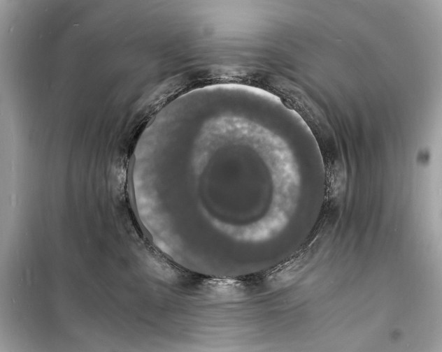 X0000098180427200805221541