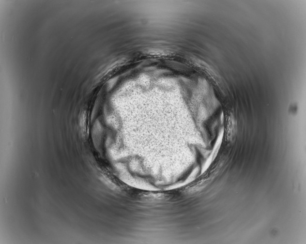 X0000098180428200805221541