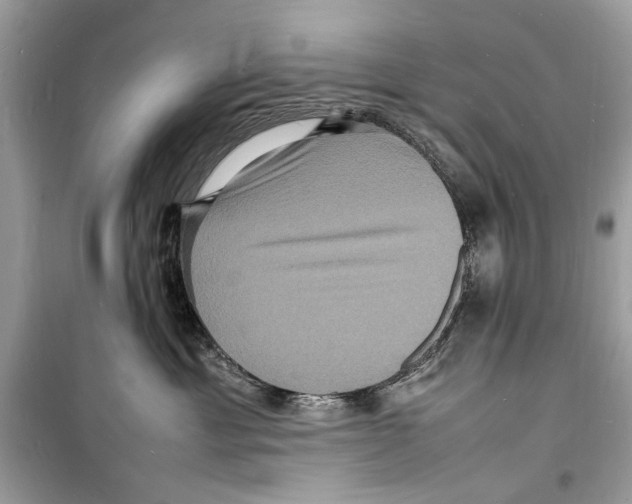 X0000098180429200805221541