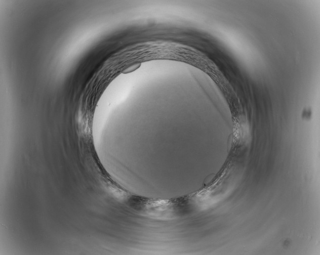 X0000098180431200805221541