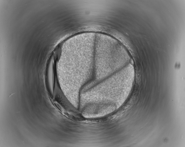 X0000098180434200805221541