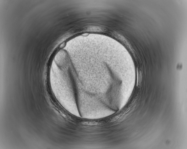 X0000098180435200805221541