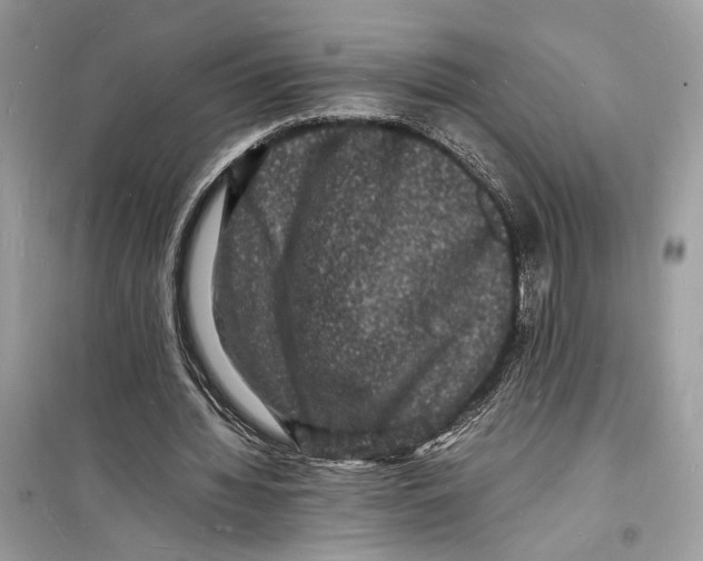 X0000098180436200805221541