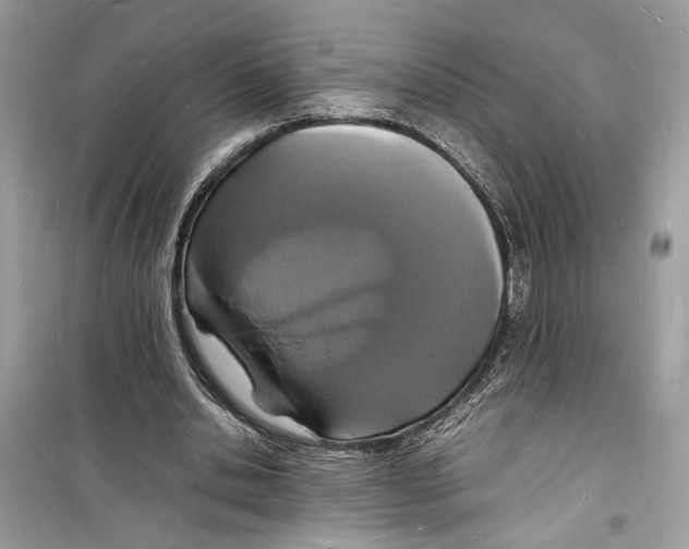 X0000098180438200805221541