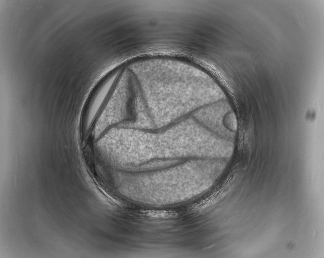 X0000098180439200805221541