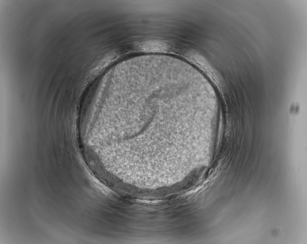 X0000098180441200805221541