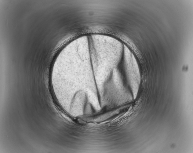 X0000098180442200805221541