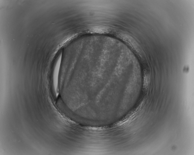 X0000098180444200805221541