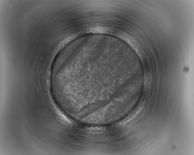 X0000098180445200805221541