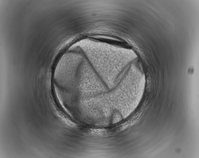 X0000098180446200805221541